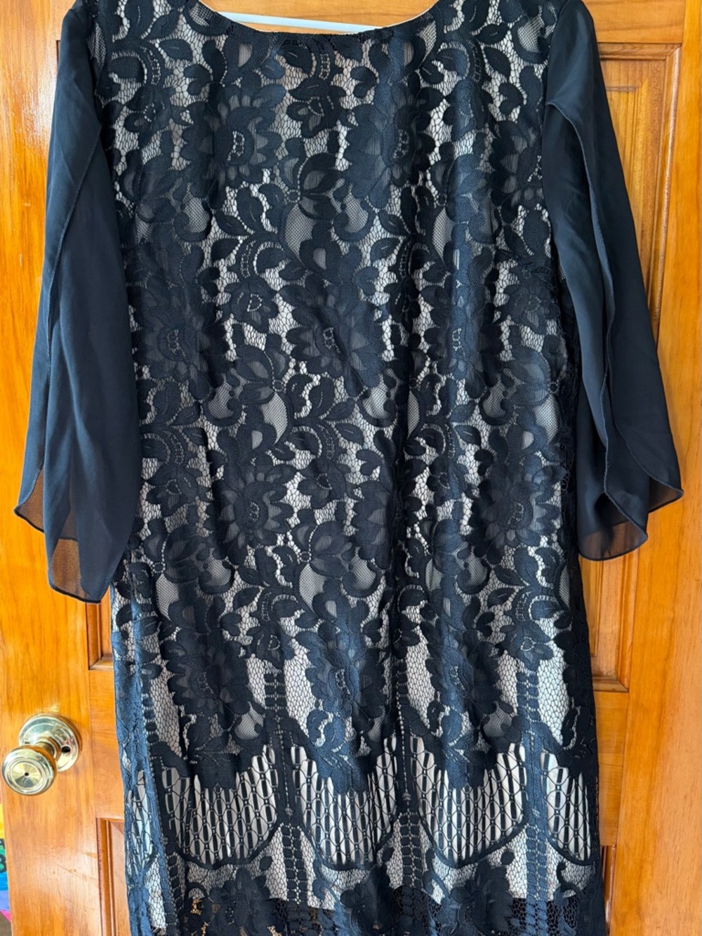 Black Lace Overlay Women's Dress